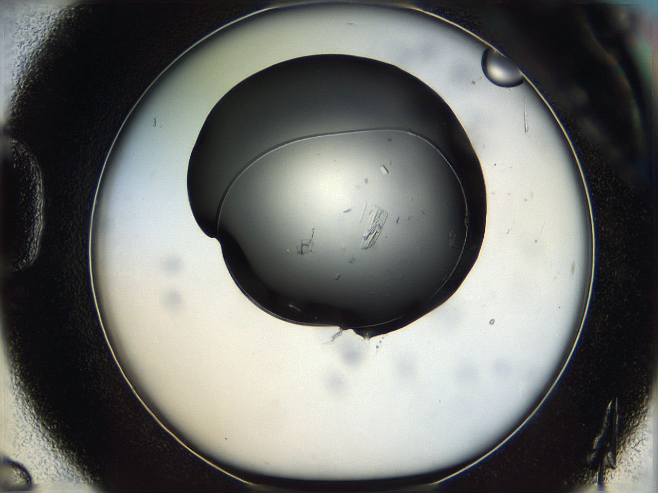 05yy_D6_ImagerDefaults_9.jpg