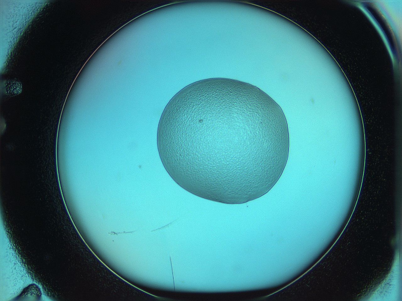 05yy_F11_ImagerDefaults_5.jpg