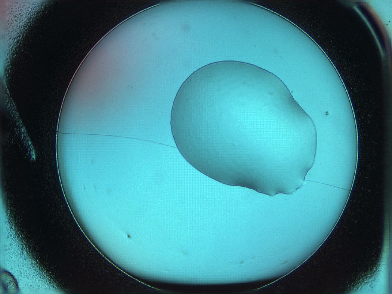 05yy_A8_ImagerDefaults_0.jpg