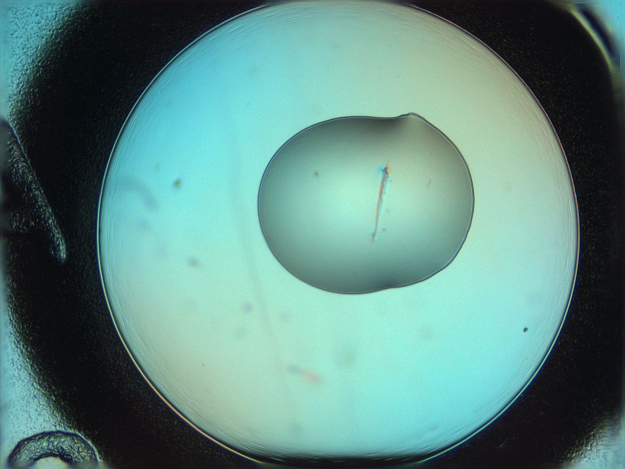 05yy_A12_ImagerDefaults_0.jpg