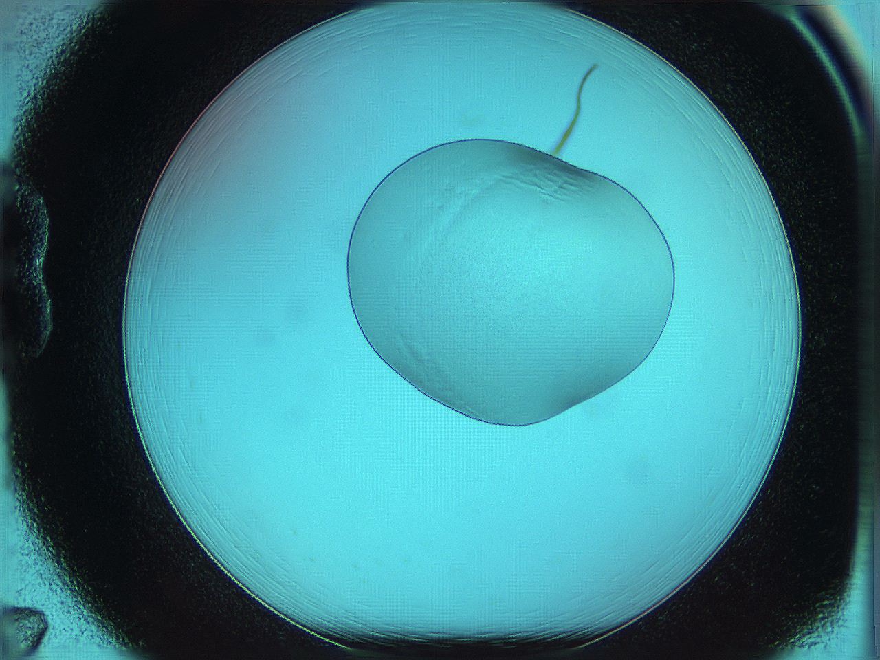 05yy_B7_ImagerDefaults_0.jpg