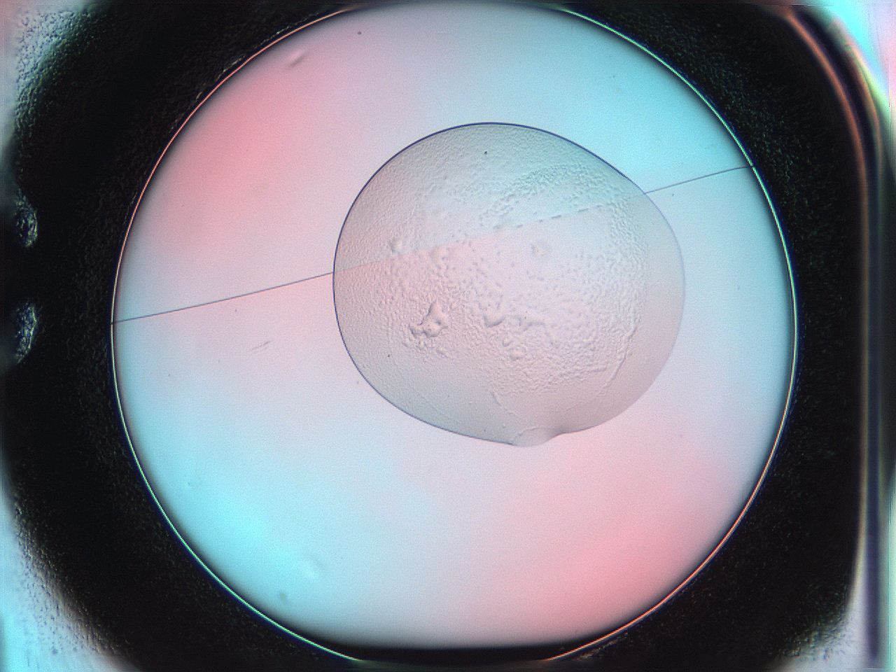 05yy_C1_ImagerDefaults_5.jpg