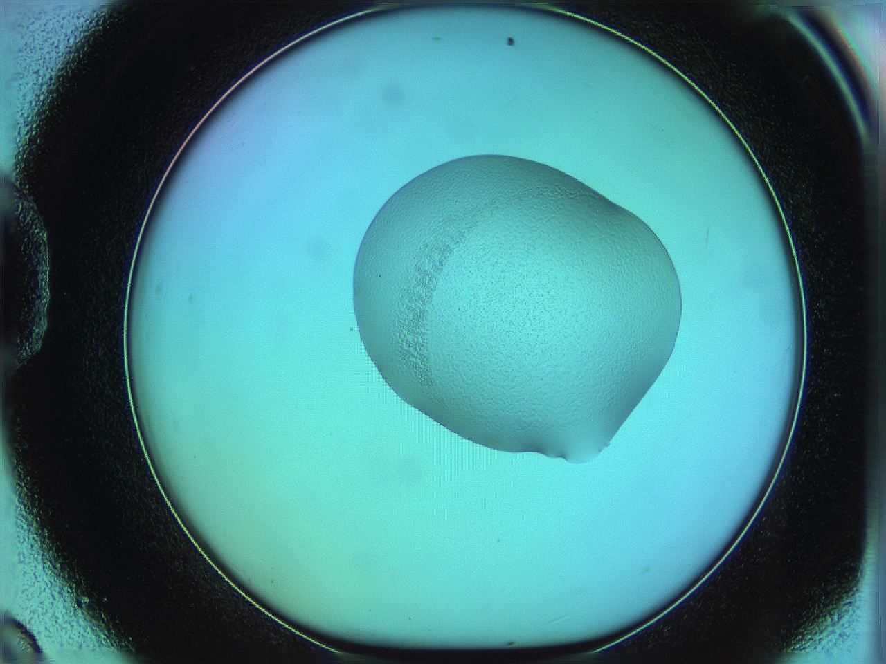 05yy_D9_ImagerDefaults_5.jpg