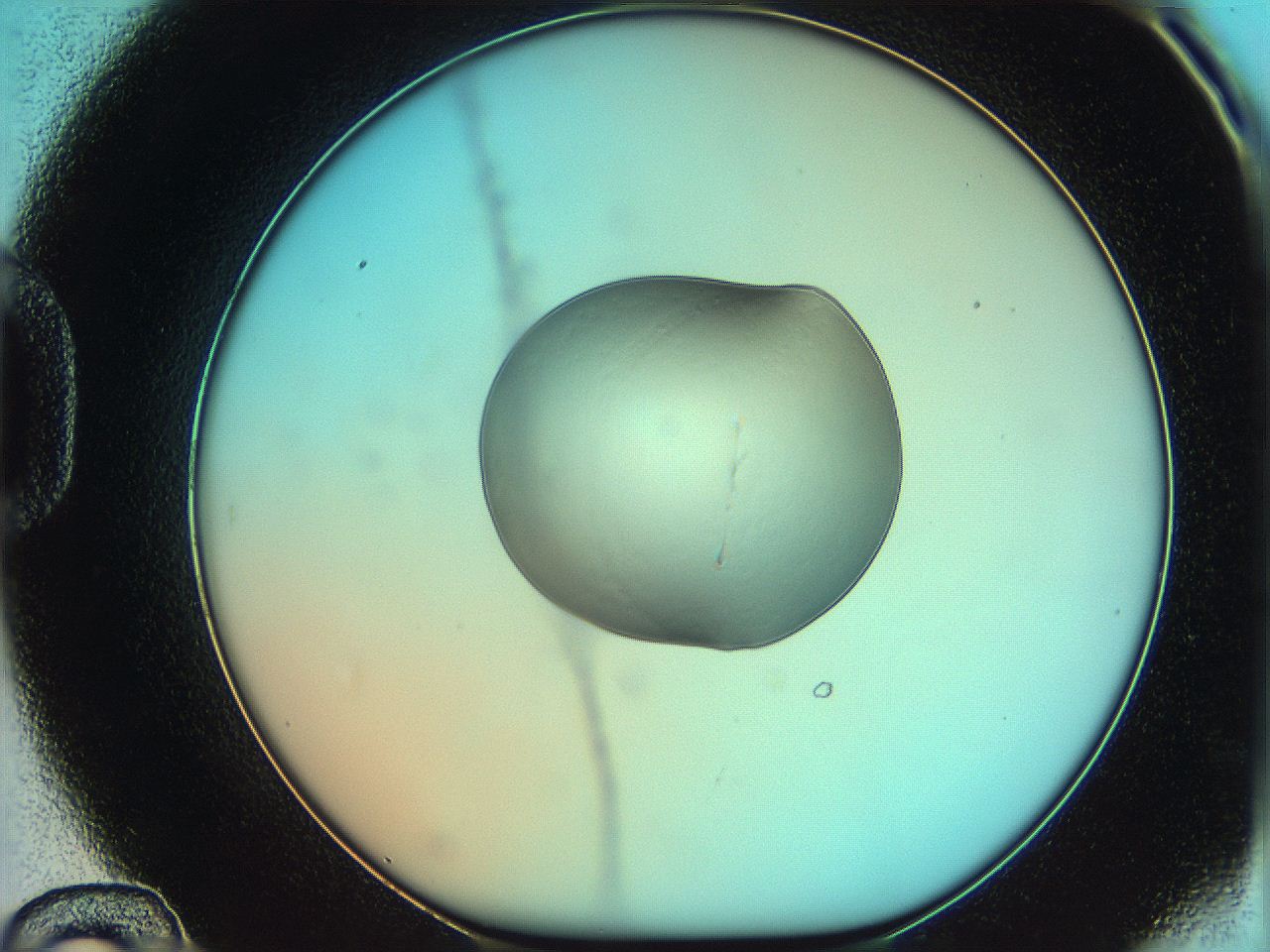 05yy_D12_ImagerDefaults_0.jpg