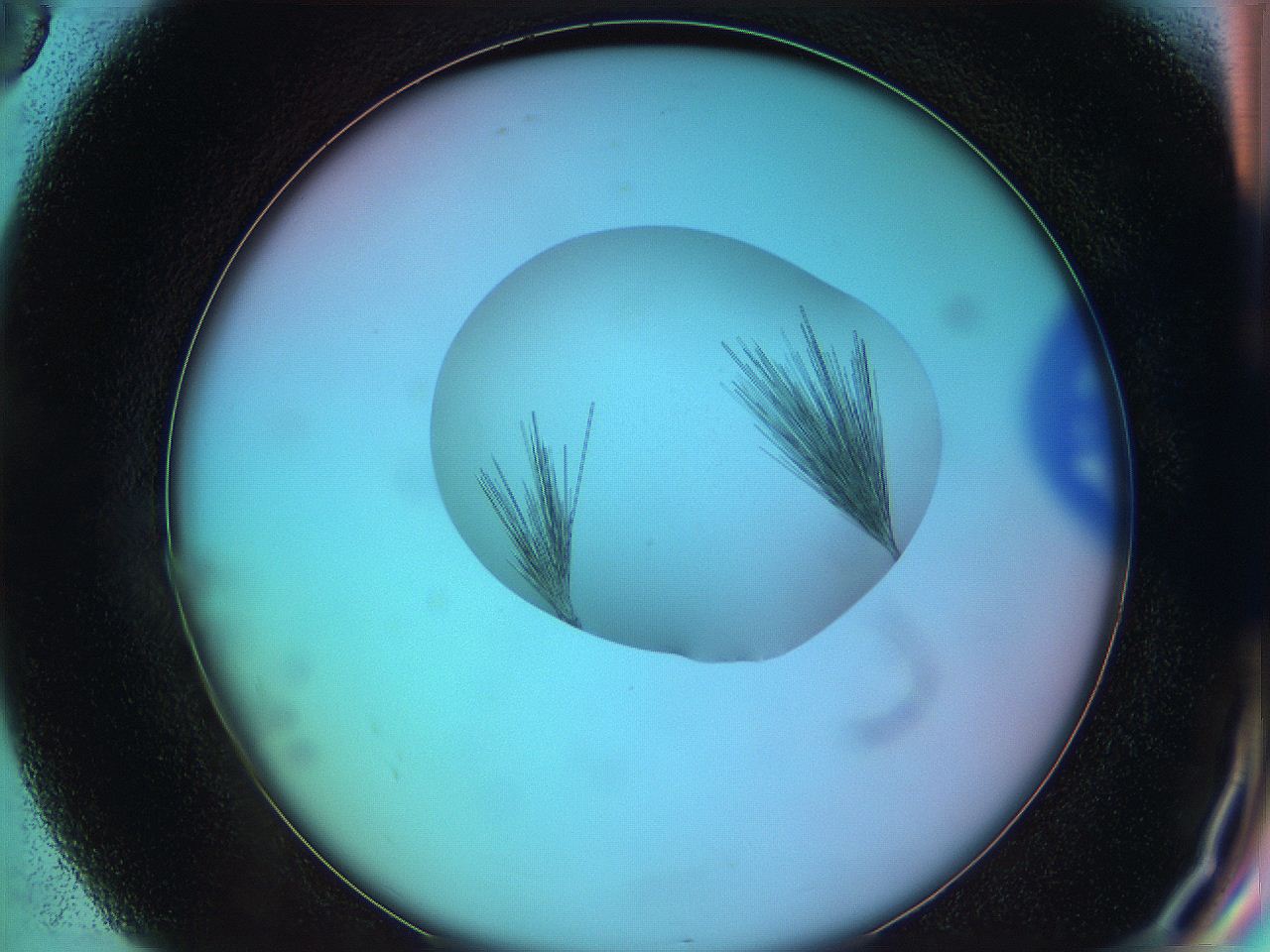 05yy_G8_ImagerDefaults_7.jpg