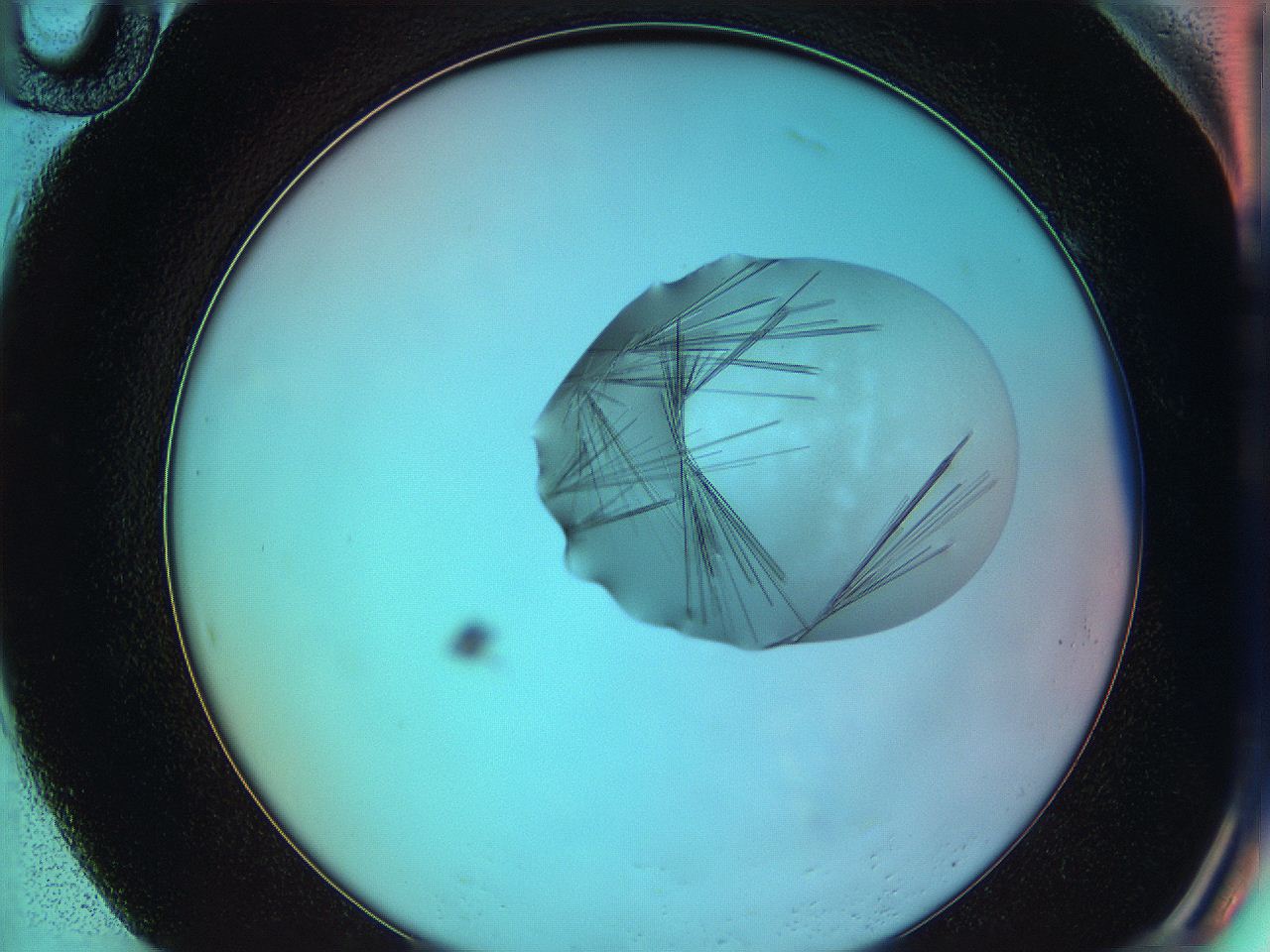 05yy_H10_ImagerDefaults_9.jpg