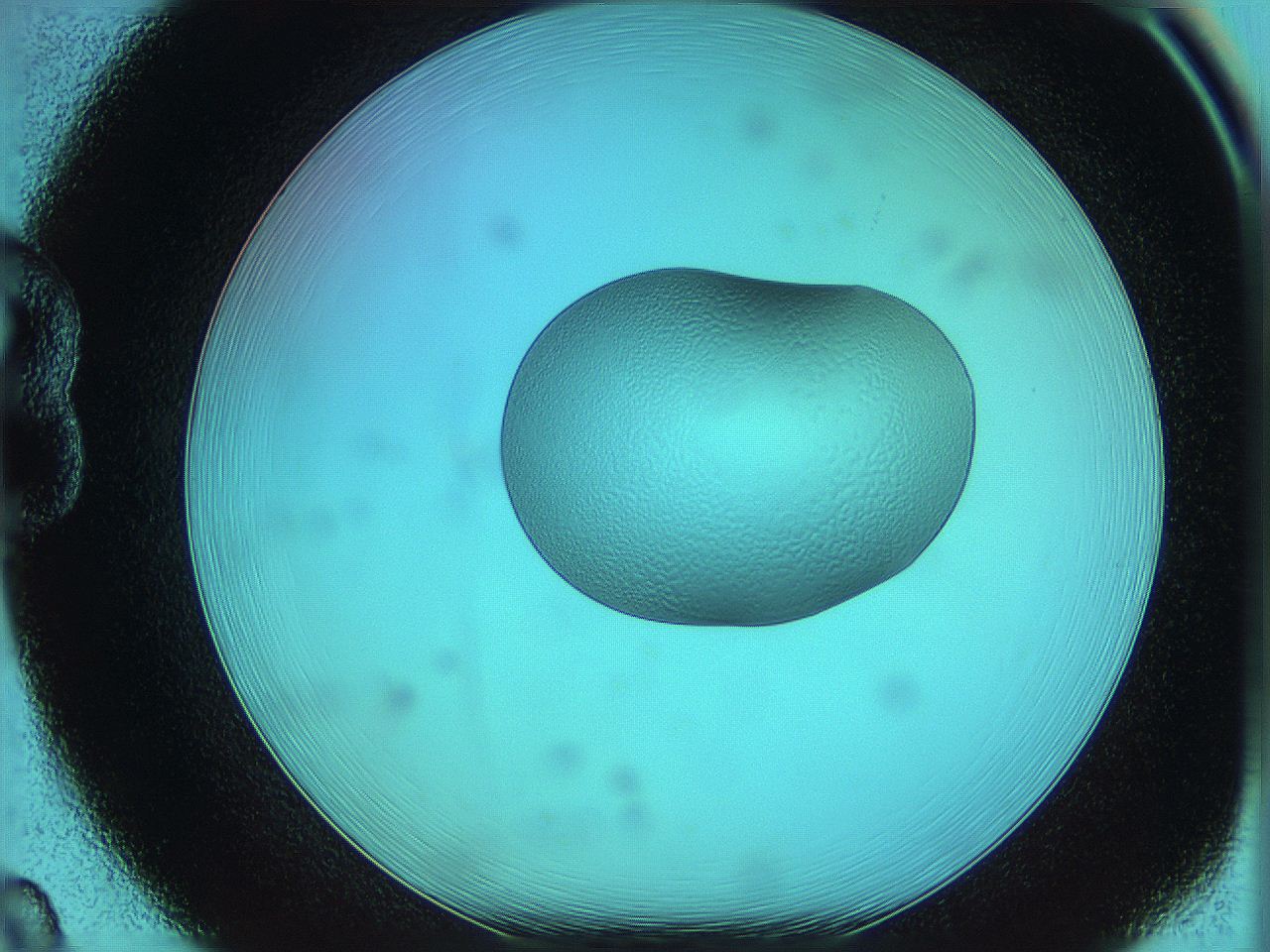 05yz_B8_ImagerDefaults_5.jpg