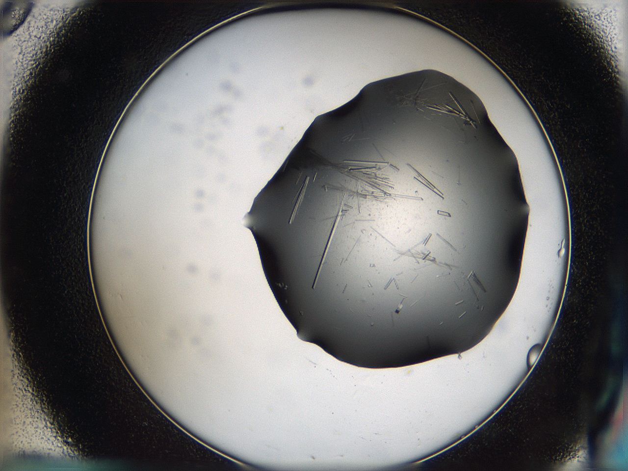 05yz_C8_ImagerDefaults_9.jpg