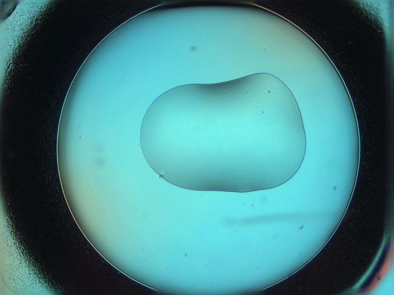 05yz_C9_ImagerDefaults_0.jpg