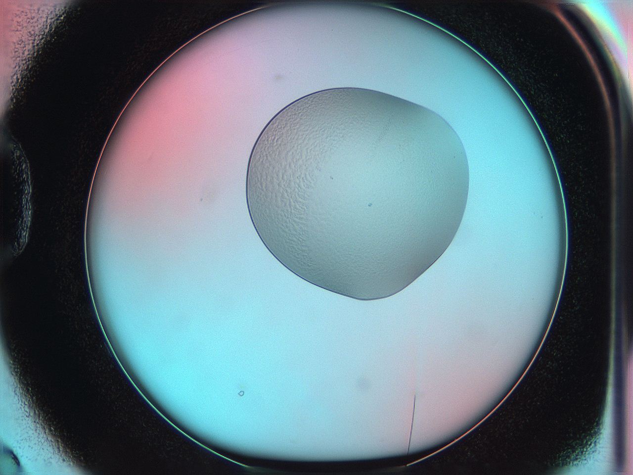05yz_D2_ImagerDefaults_0.jpg