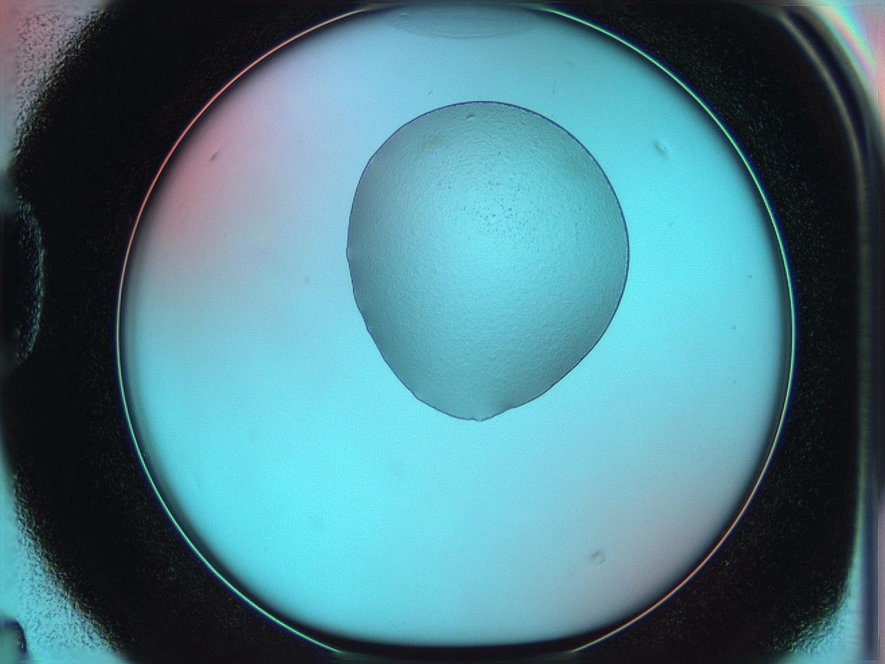 05yz_D4_ImagerDefaults_0.jpg