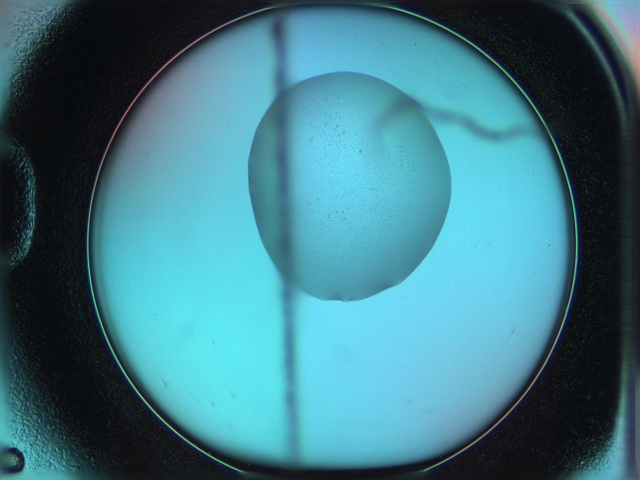 05yz_D5_ImagerDefaults_0.jpg