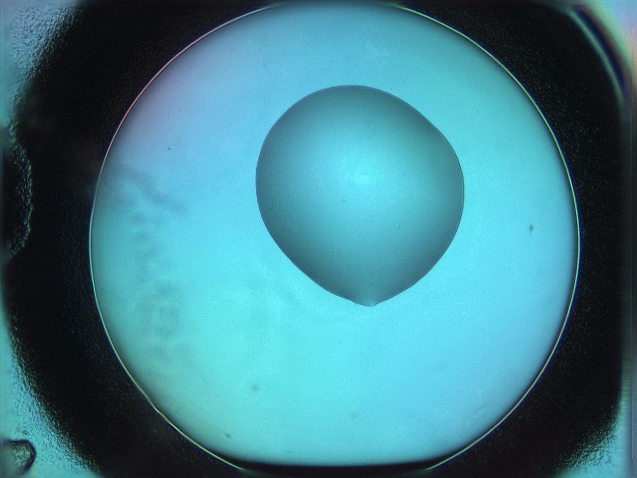 05yz_D7_ImagerDefaults_0.jpg
