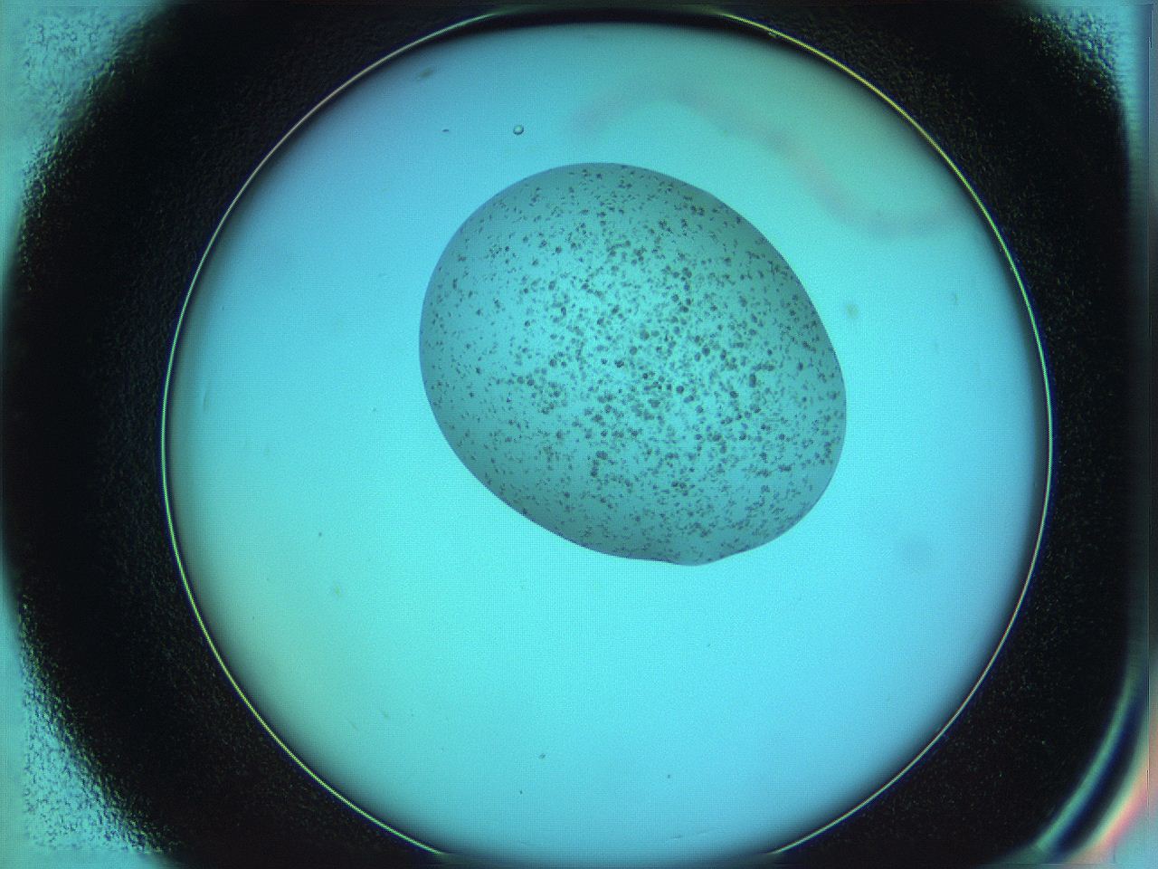 05yz_D7_ImagerDefaults_3.jpg
