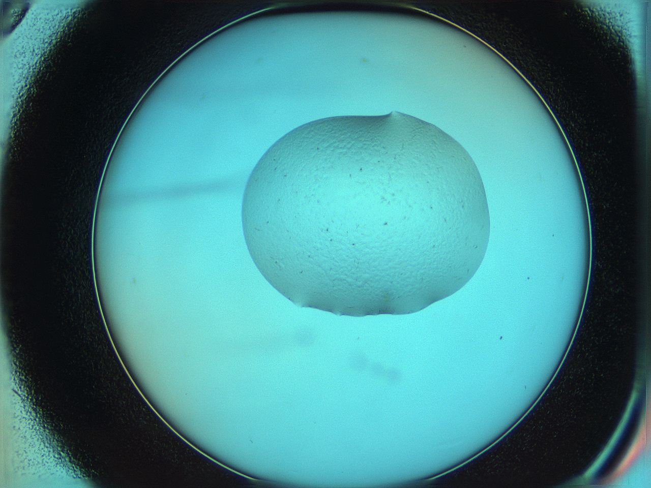 05yz_D9_ImagerDefaults_3.jpg