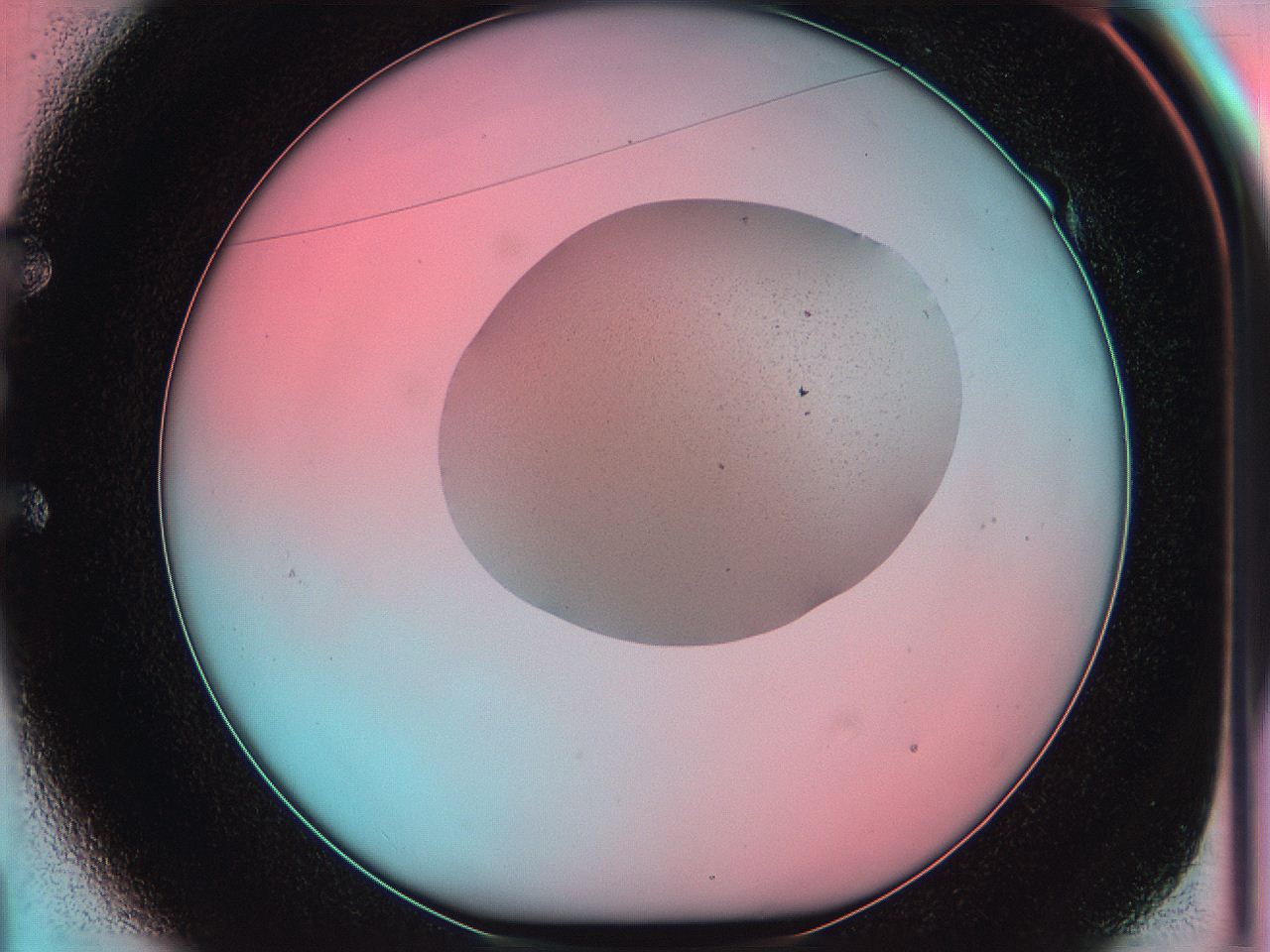 05yz_E1_ImagerDefaults_0.jpg