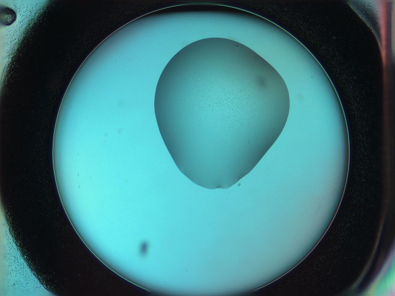 05yz_G2_ImagerDefaults_0.jpg