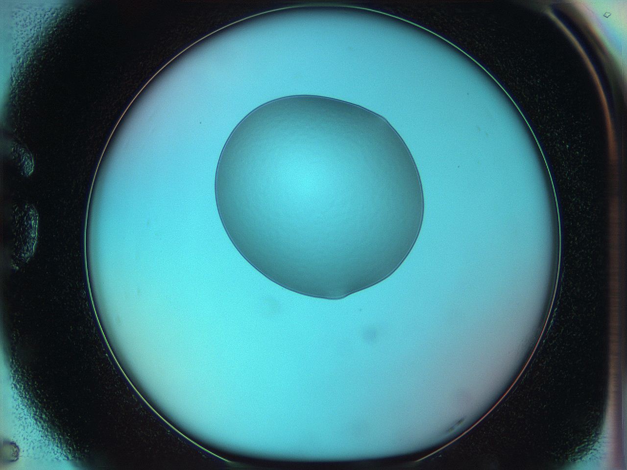 05yz_G5_ImagerDefaults_0.jpg