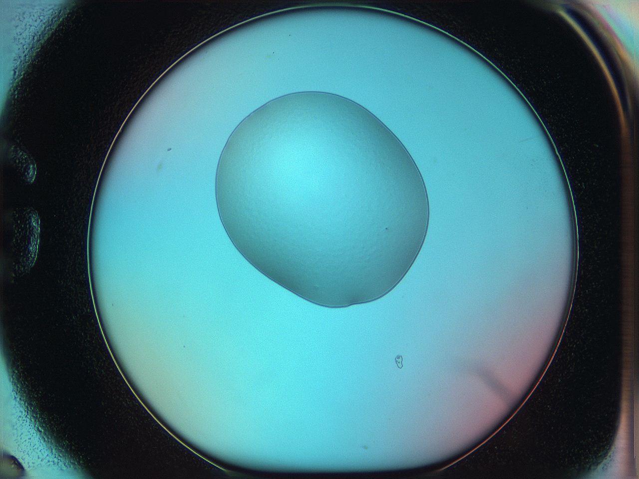05yz_G6_ImagerDefaults_0.jpg