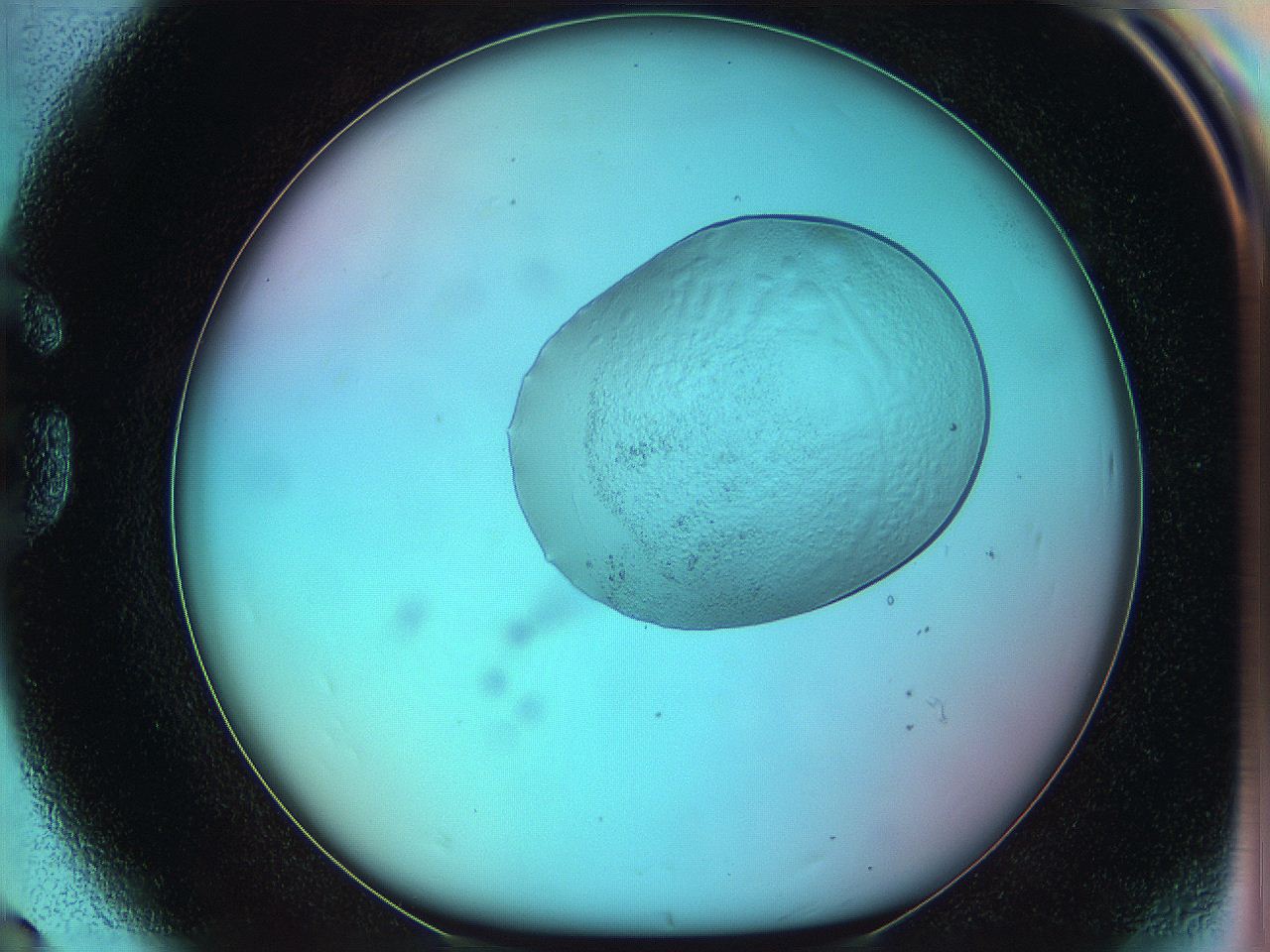 05yz_G8_ImagerDefaults_3.jpg