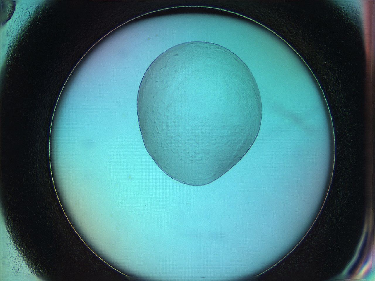 05yz_G8_ImagerDefaults_0.jpg