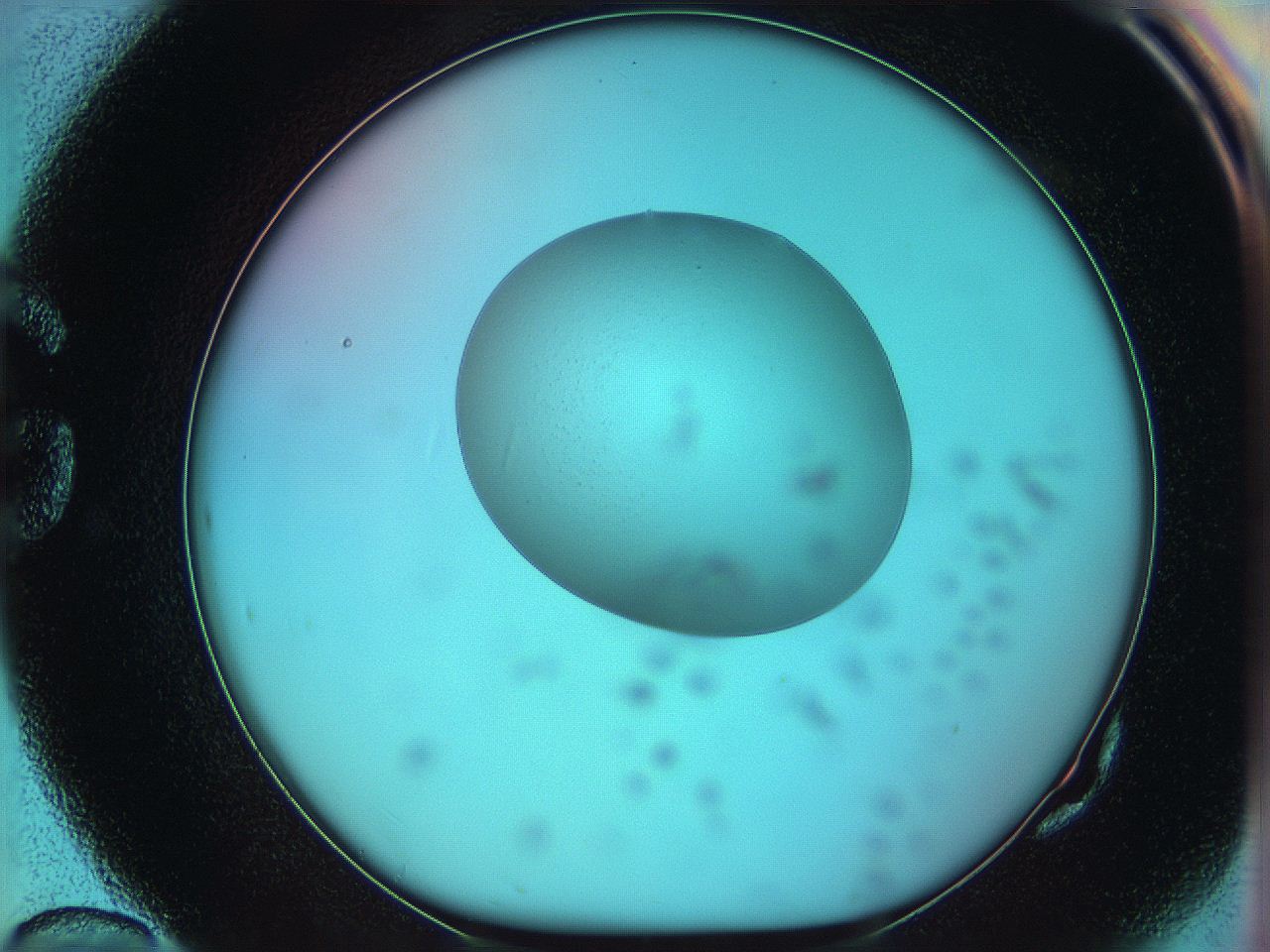 05yz_G10_ImagerDefaults_0.jpg