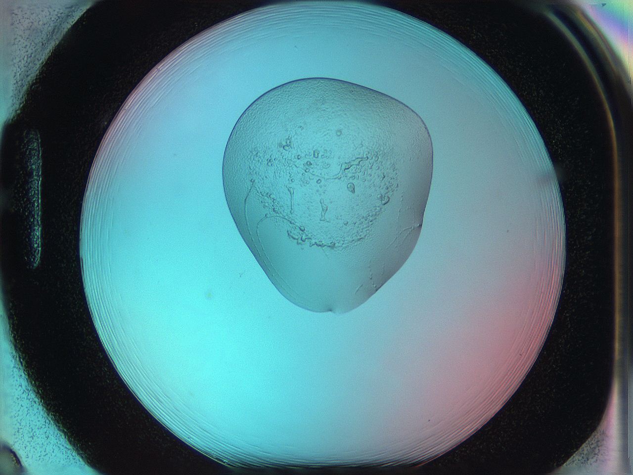 05yz_H2_ImagerDefaults_5.jpg