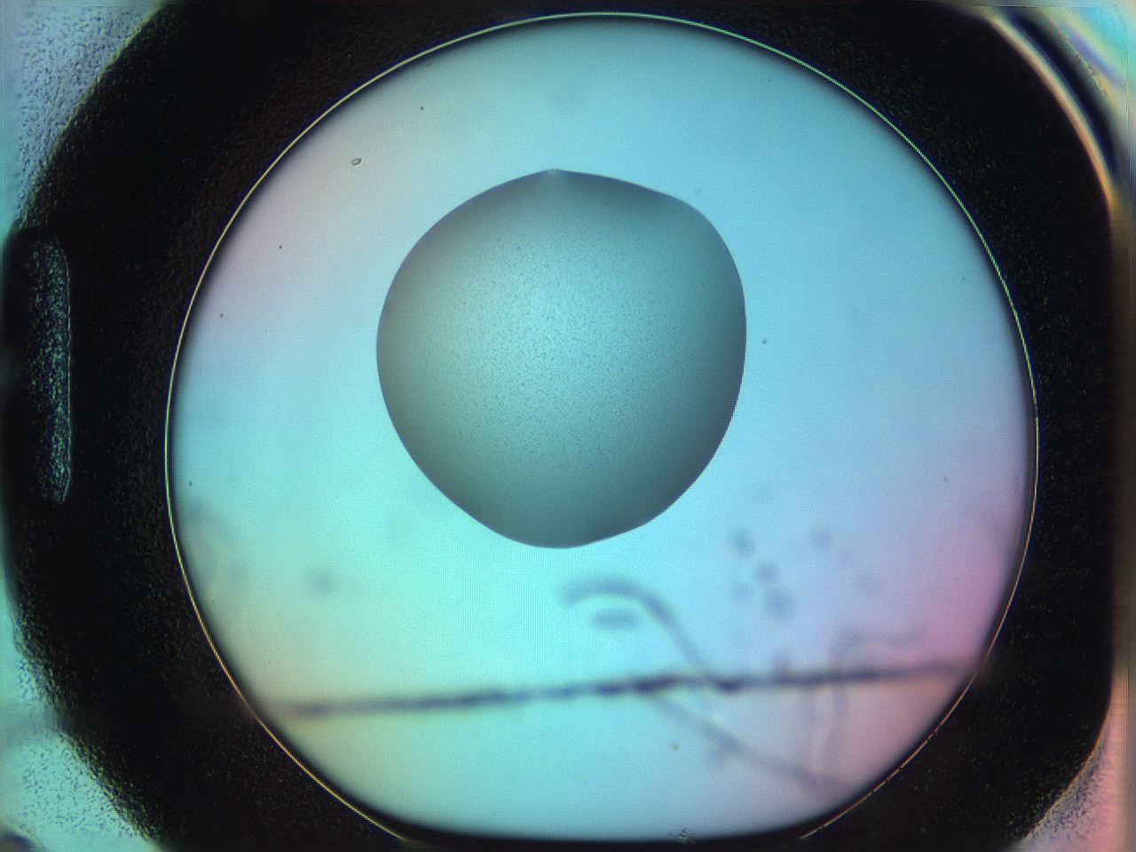 05yz_H9_ImagerDefaults_0.jpg