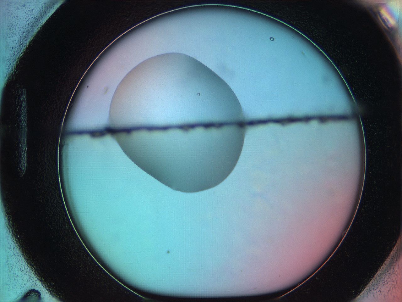 05yz_H11_ImagerDefaults_0.jpg