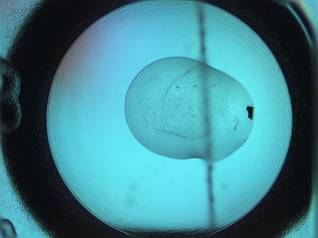 05z0_B8_ImagerDefaults_5.jpg
