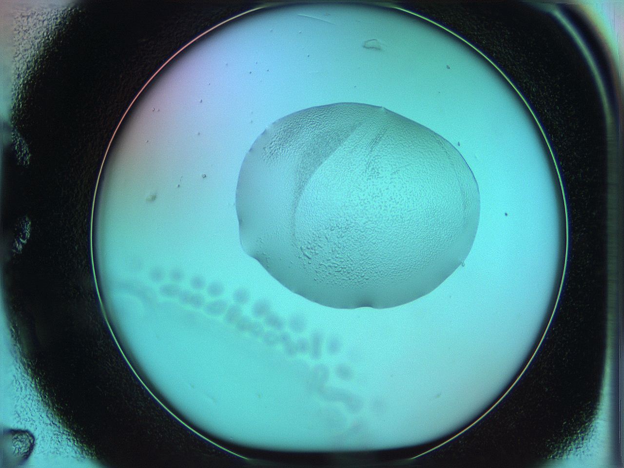 05z0_C7_ImagerDefaults_3.jpg