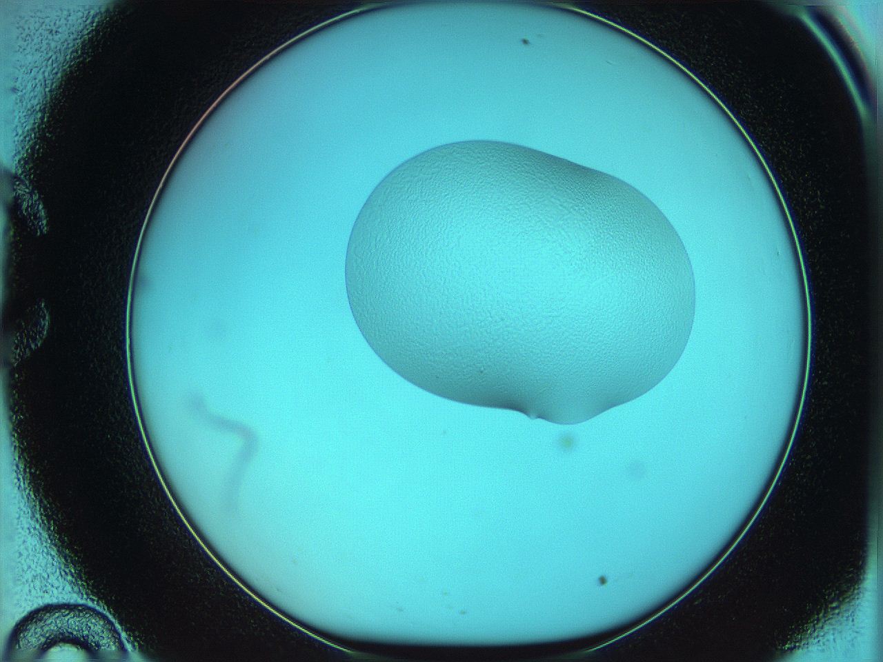 05z0_C10_ImagerDefaults_5.jpg