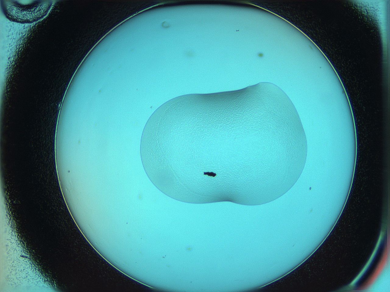05z0_C10_ImagerDefaults_0.jpg