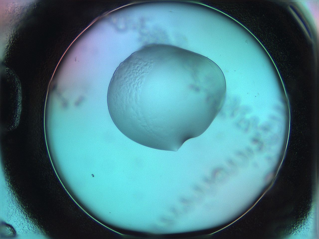05z0_D6_ImagerDefaults_5.jpg