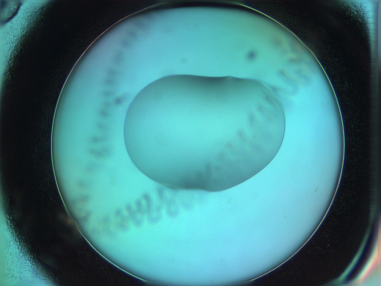 05z0_D6_ImagerDefaults_0.jpg