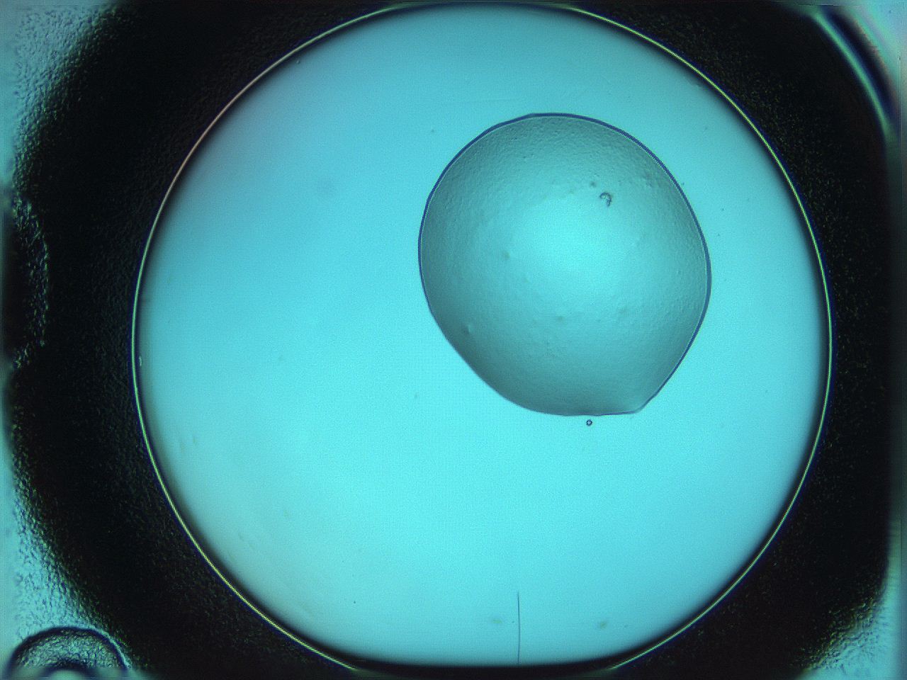 05z0_D10_ImagerDefaults_0.jpg