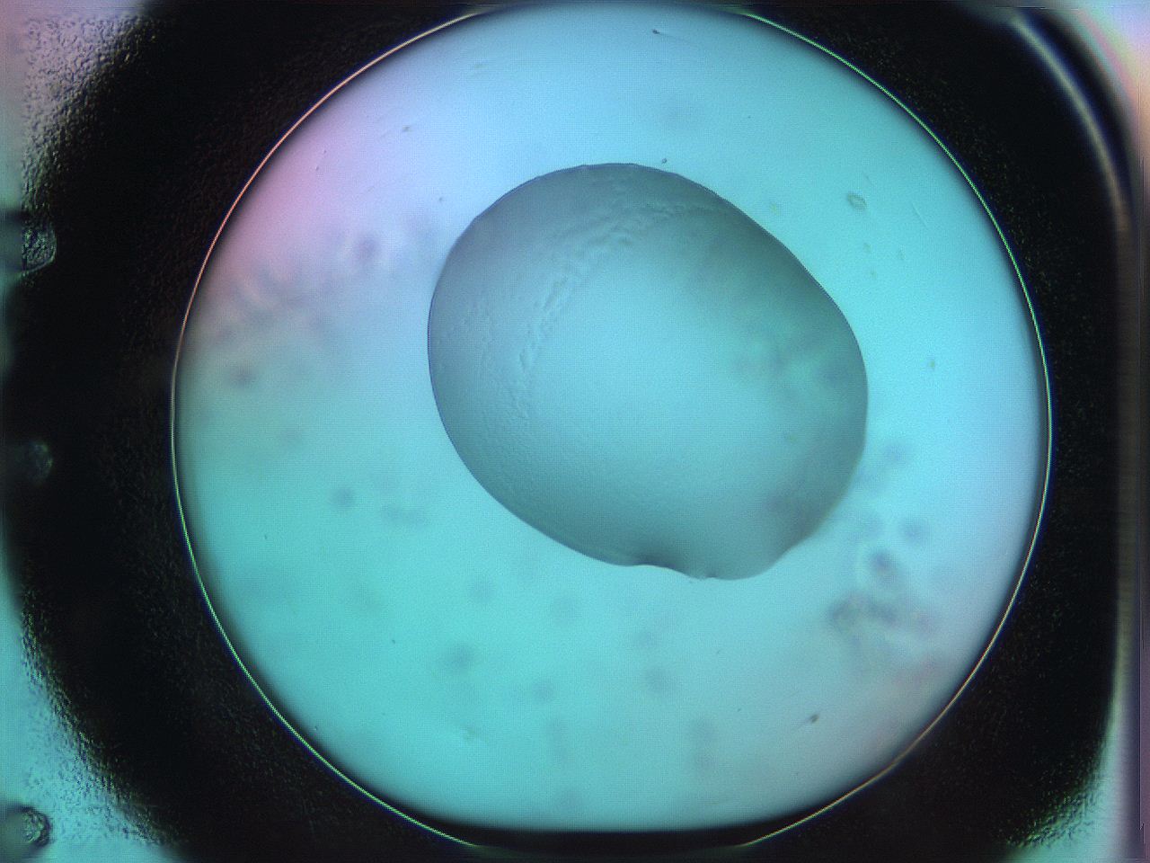 05z0_E7_ImagerDefaults_5.jpg