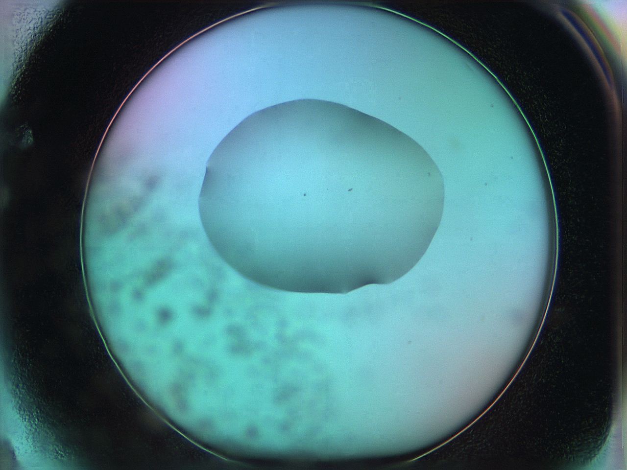 05z0_F4_ImagerDefaults_0.jpg