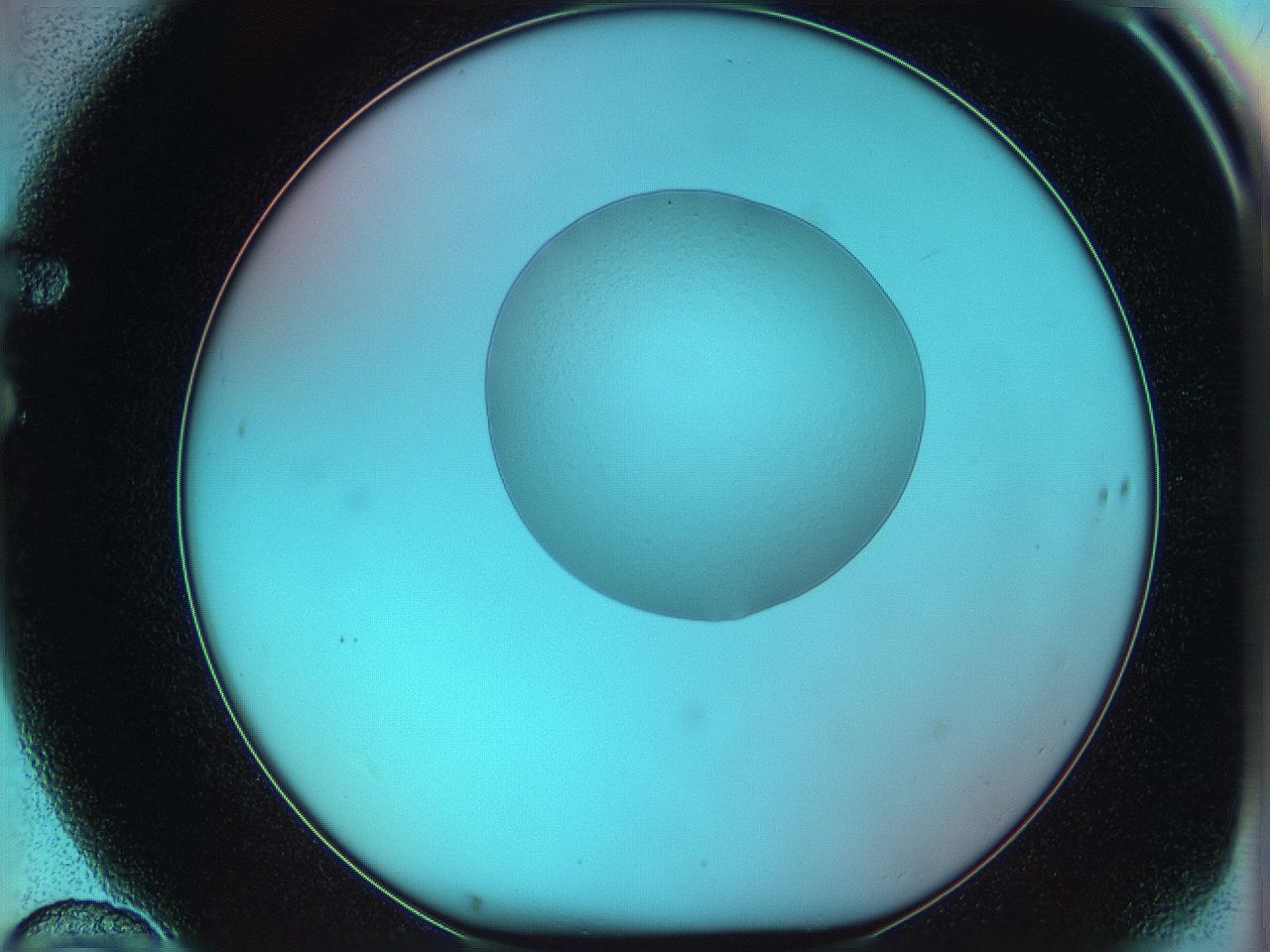 05z0_F10_ImagerDefaults_0.jpg