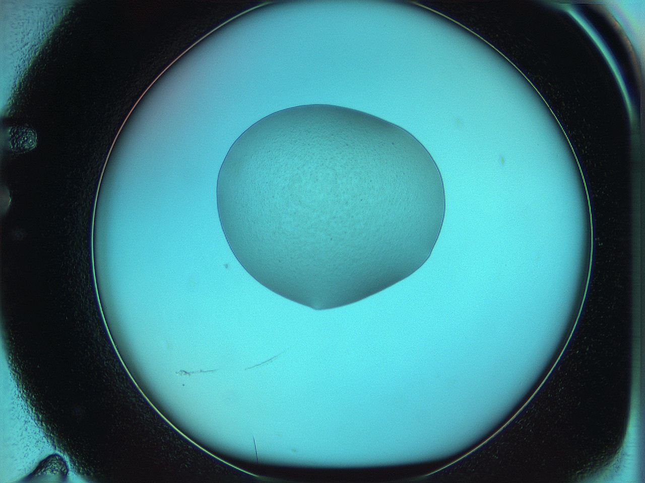 05z0_F11_ImagerDefaults_0.jpg