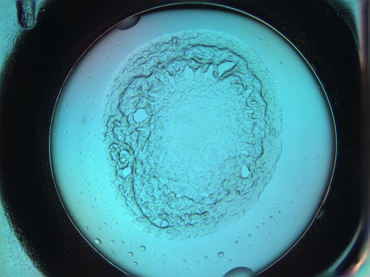 05z0_G11_ImagerDefaults_5.jpg