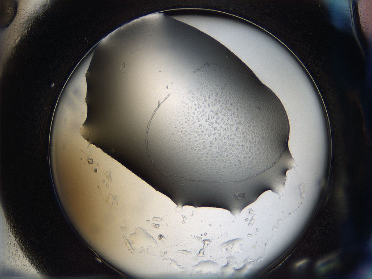 05z0_H6_ImagerDefaults_9.jpg