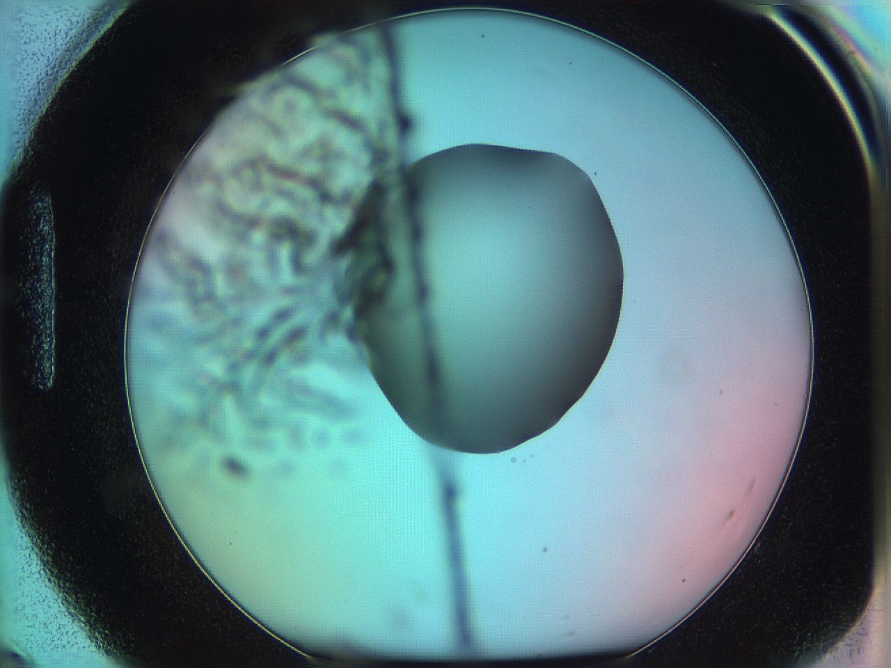 05z0_H8_ImagerDefaults_0.jpg
