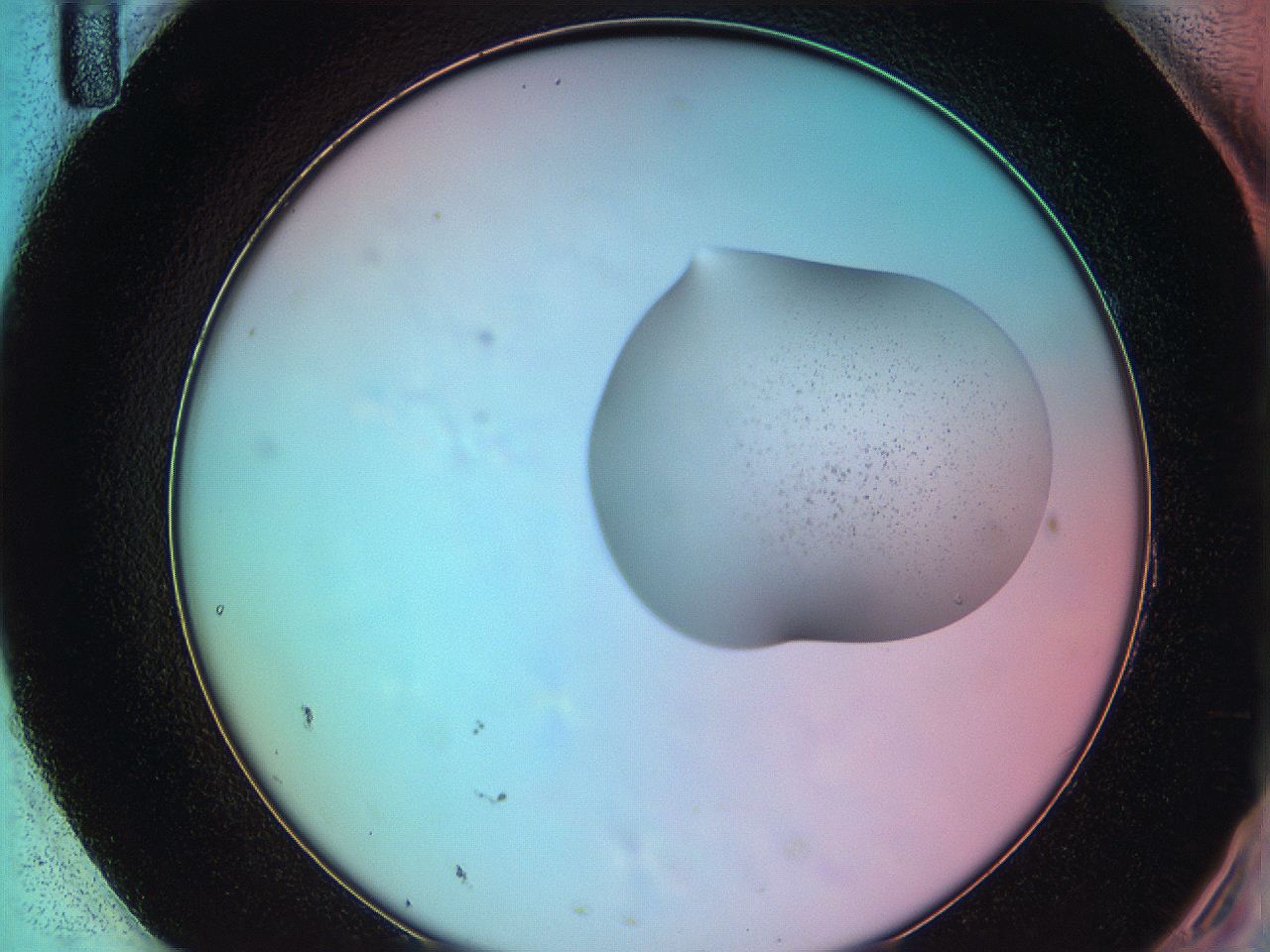 05z0_H11_ImagerDefaults_3.jpg