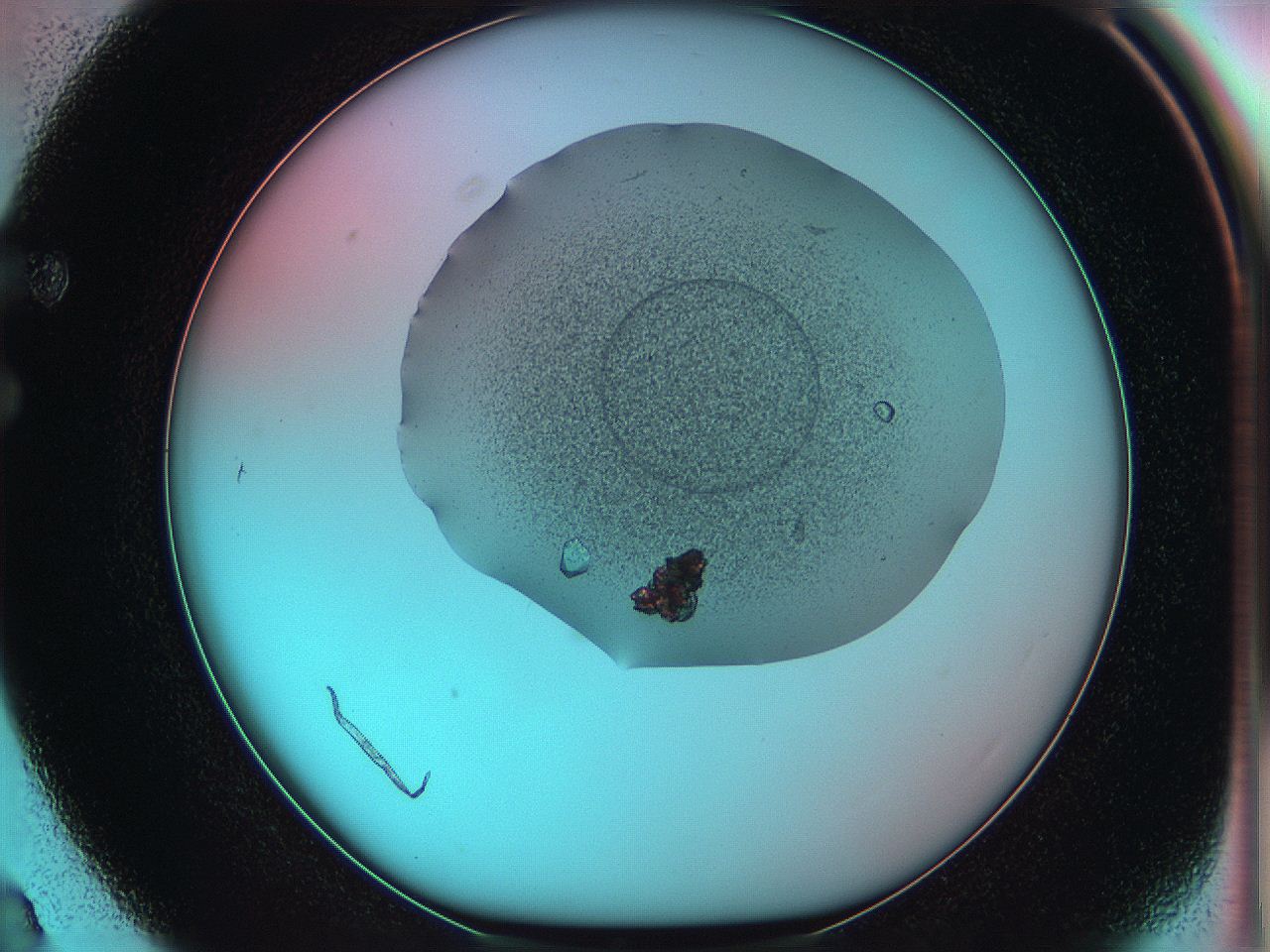 05z5_F3_ImagerDefaults_6.jpg