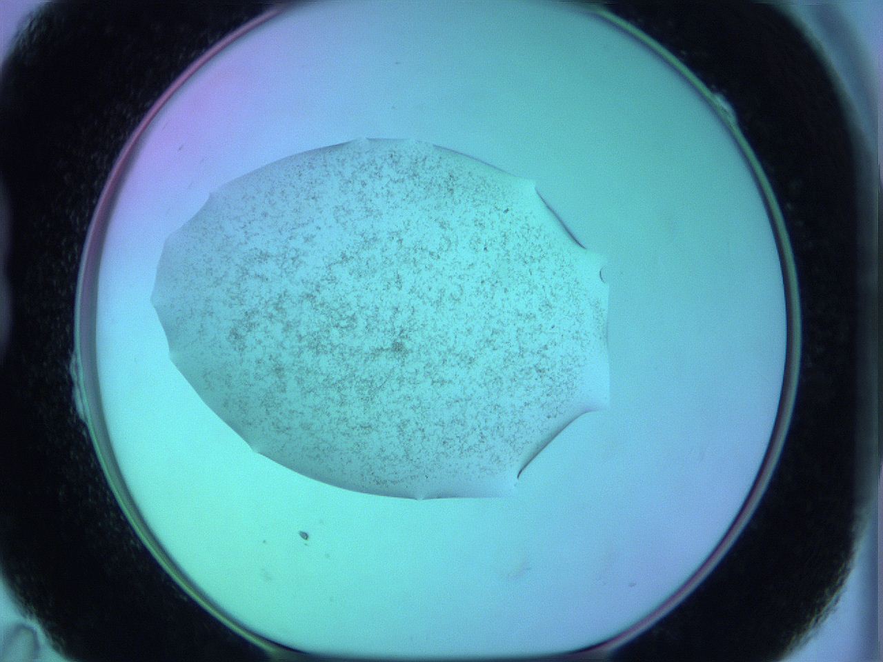 05zb_B11_ImagerDefaults_3.jpg