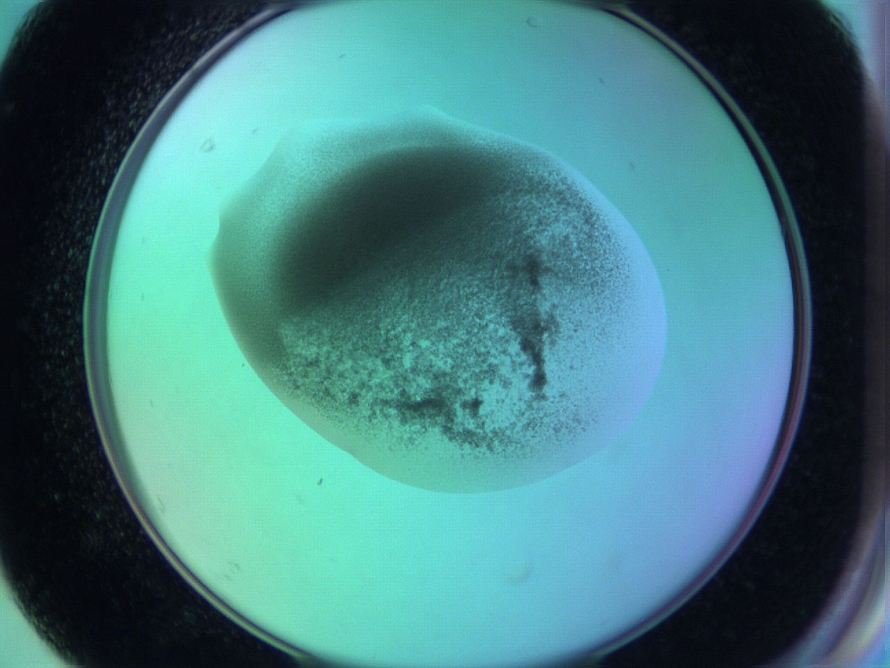 05zb_F7_ImagerDefaults_3.jpg