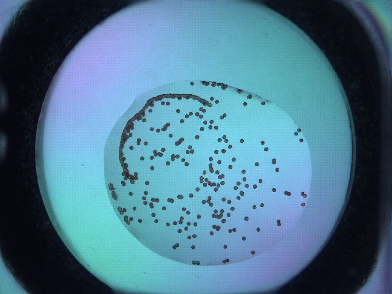 05zb_C2_ImagerDefaults_6.jpg