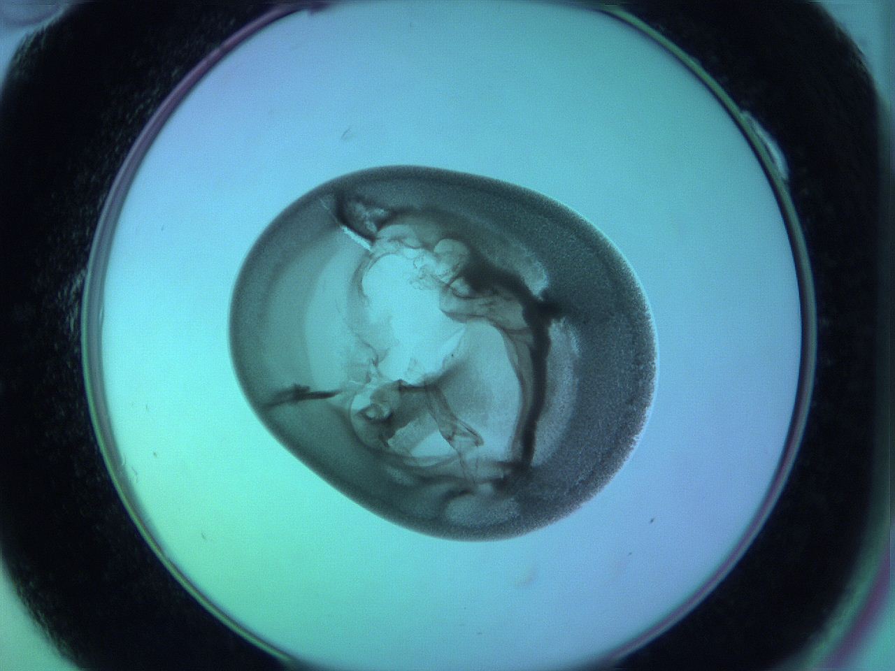 05zb_A10_ImagerDefaults_3.jpg