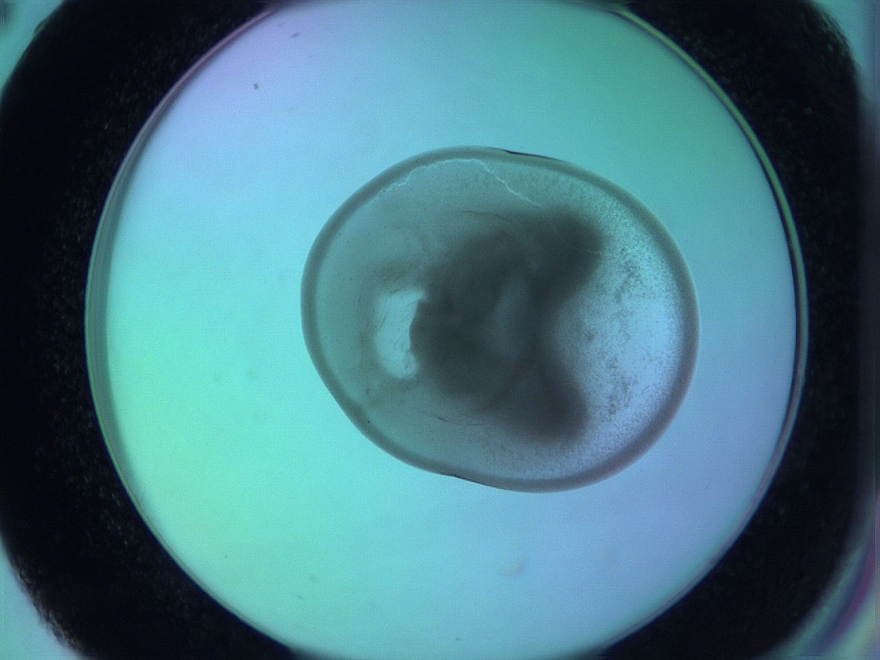 05zb_D2_ImagerDefaults_3.jpg